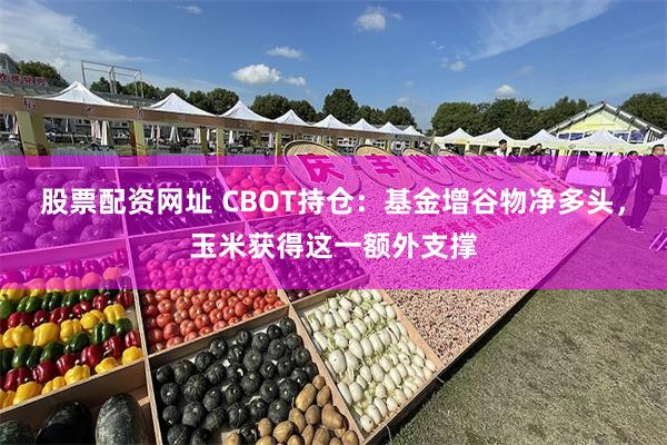 股票配资网址 CBOT持仓：基金增谷物净多头，玉米获得这一额