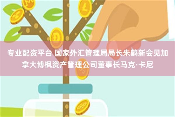 专业配资平台 国家外汇管理局局长朱鹤新会见加拿大博枫资产管理