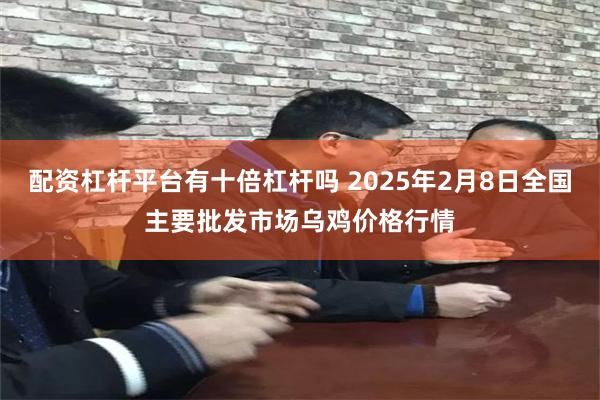 配资杠杆平台有十倍杠杆吗 2025年2月8日全国主要批发市场乌鸡价格行情