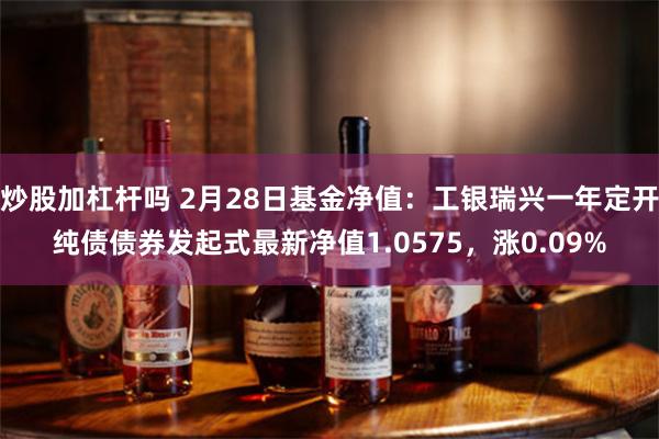 炒股加杠杆吗 2月28日基金净值：工银瑞兴一年定开纯债债券发