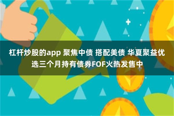 杠杆炒股的app 聚焦中债 搭配美债 华夏聚益优选三个月持有