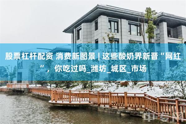 股票杠杆配资 消费新图景 | 这些酸奶界新晋“网红”，你吃过