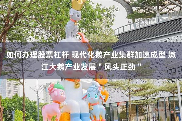 如何办理股票杠杆 现代化鹅产业集群加速成型 嫩江大鹅产业发展